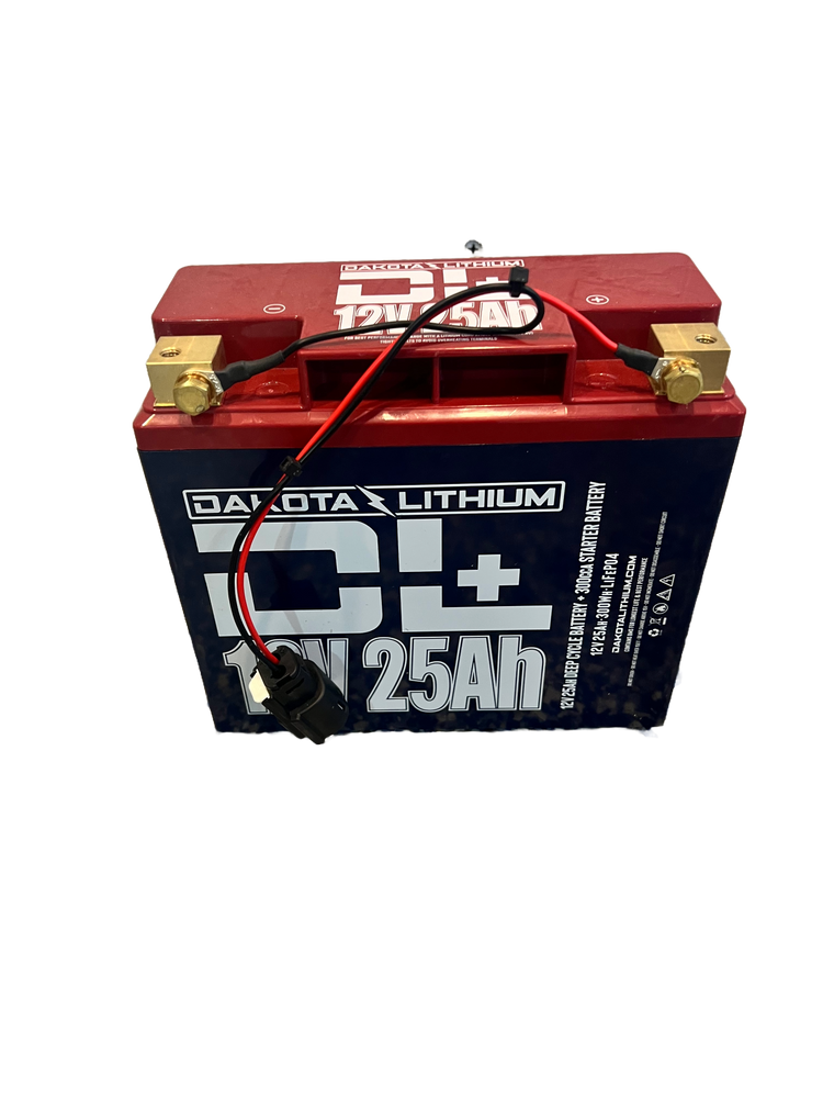 StormVision Spare Battery